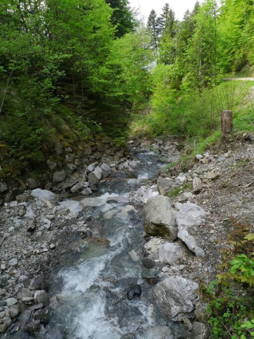 Forest View Apartment In Leissigen By Interlaken With No Kitchen Eksteriør bilde